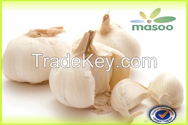 Cheap High Quality Fresh Garlic from Shandong (China) (Wholesale)
