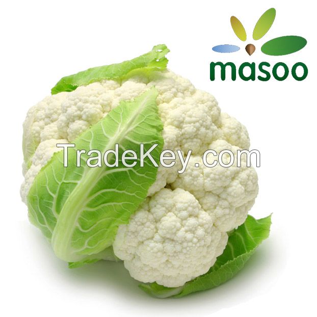 Cheap High Quality Cauliflower from Hebei (China) (Wholesale)