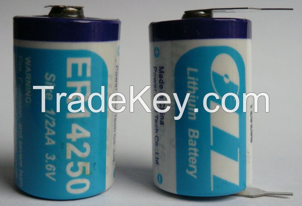 Lithium Thionyl Chloride Battery