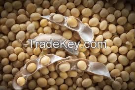 soybeans