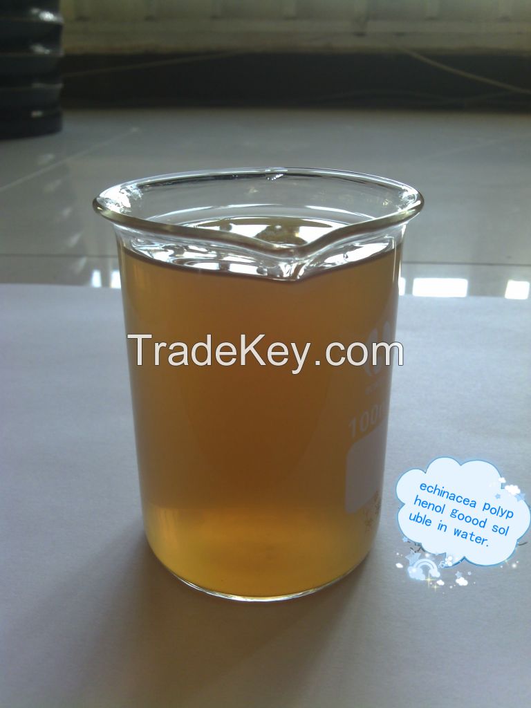 Echinacea extract