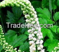 Black Cohosh Extract