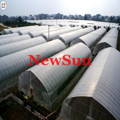 Polythene Insect Screen