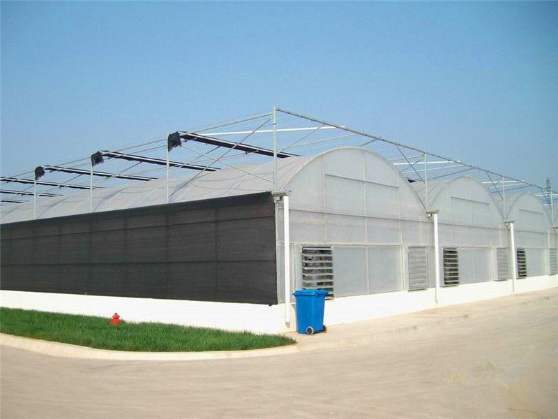 Hot Galvanized greenhouse multi span greenhouse hydroponic system