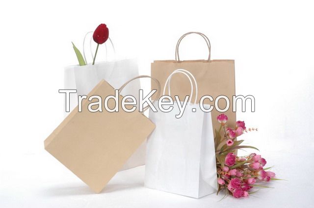 Printed Paper Gift Bags