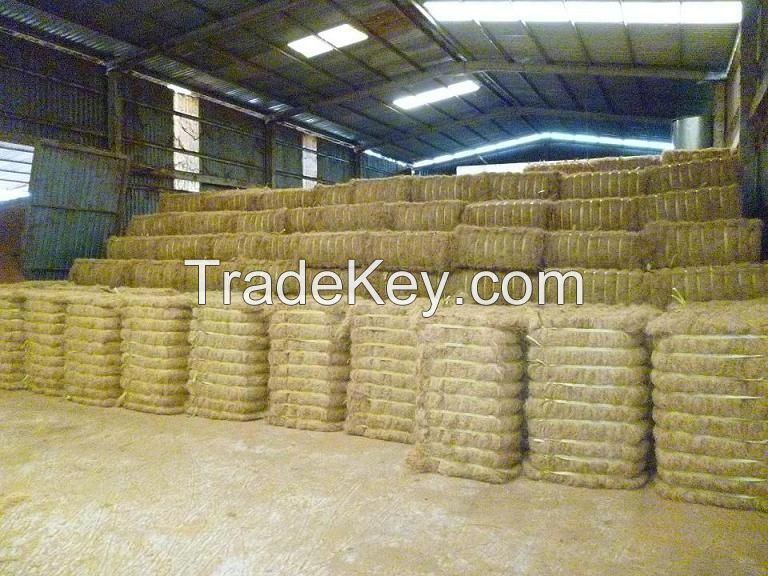 VIET NAM - COCONUT FIBER Grade A 