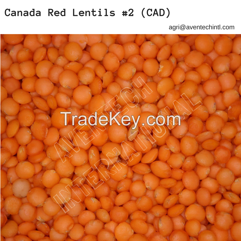 Canadian Grains and Pulses