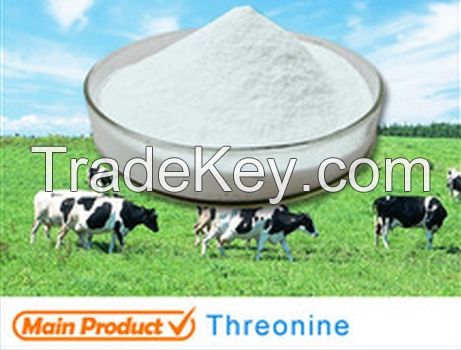 lysine 98.5% , factory supply