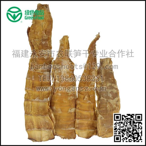 Bamboo Shoot