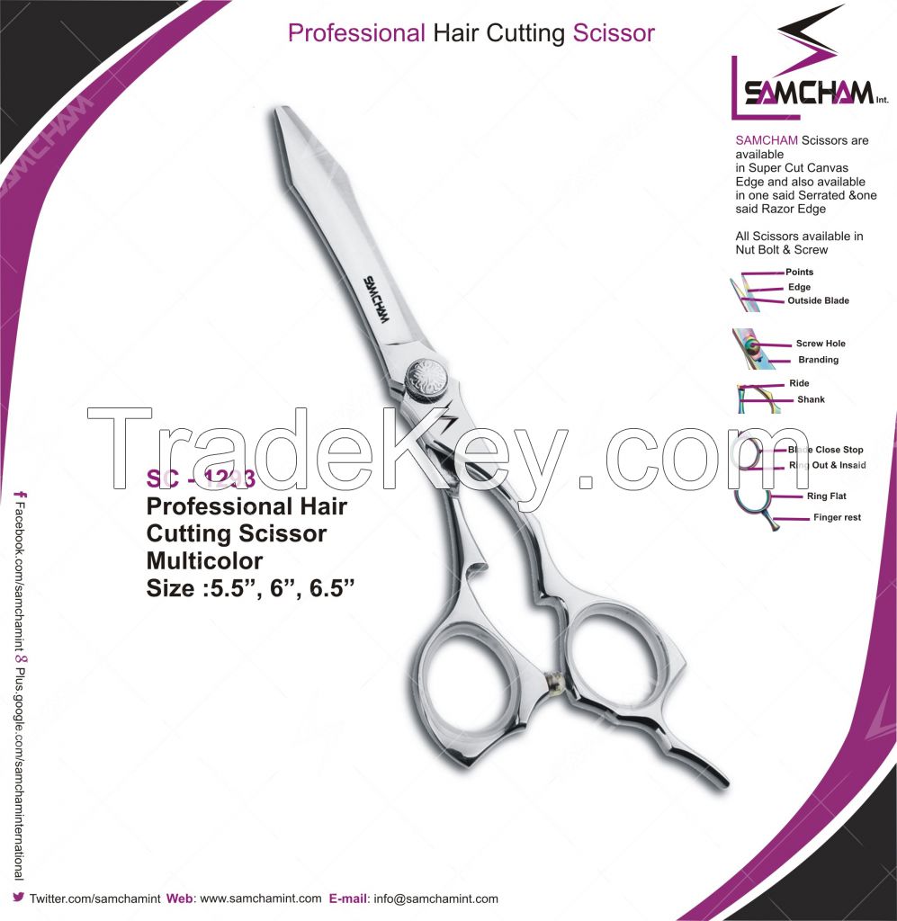 Hair Cutting Scissors 