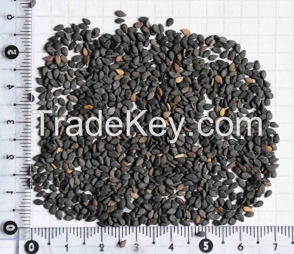 White and Black Sesame Seeds
