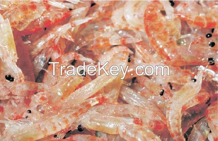 Whole Round Frozen Krill