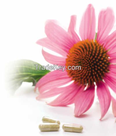 Echinacea extract