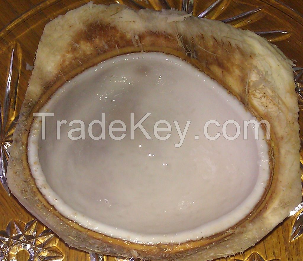 Tender coconut meat 