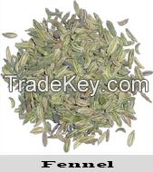 Fennel seeds