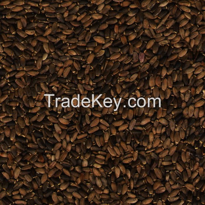 Milk thistle seeds