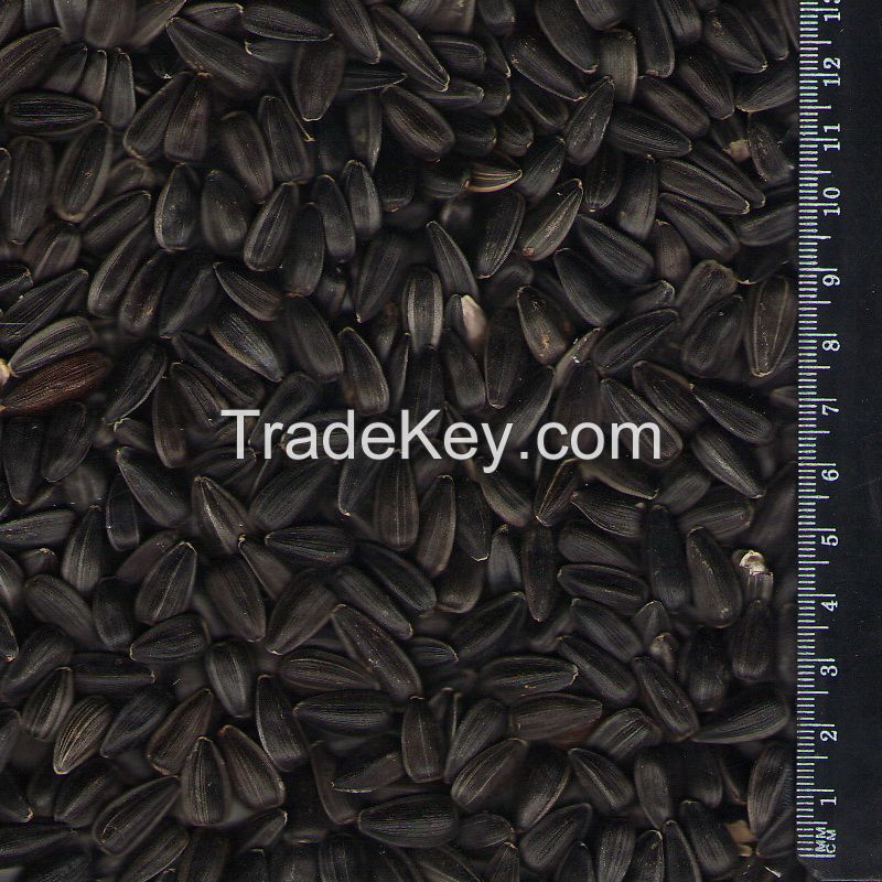 Sunflower seeds