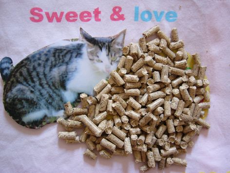 sell 100% pine Cat litter,All-natural corn and fresh pine cat litter