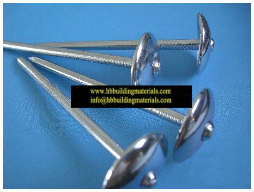 Box packed High Quality Galvanzied Roofing Nails