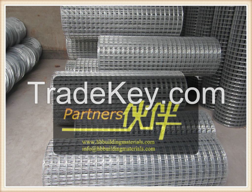 Hot sales Good quanlity Galvanized Welded Wire Mesh China supplier