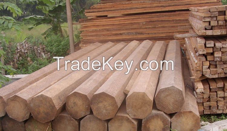 Teak Trees