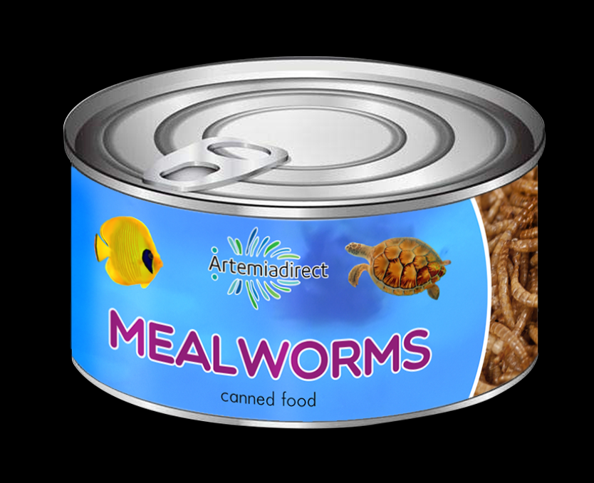 Canned mealworms