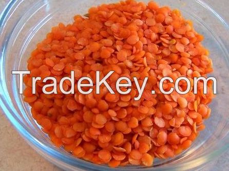 Red Split Lentil