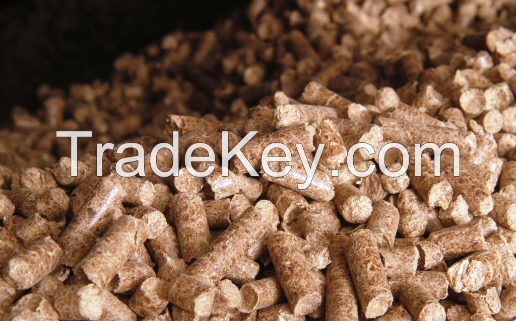 Affordable Wood Pellet For Sale In Ukraine 