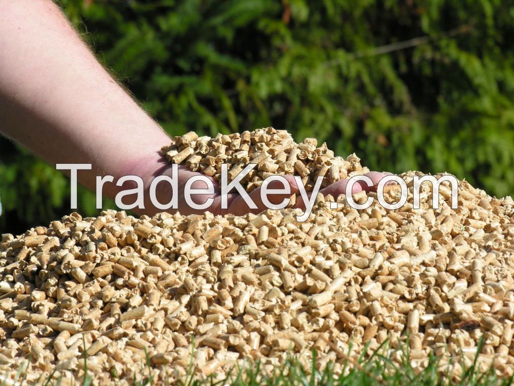 Affordable Wood Pellet For Sale In Ukraine 