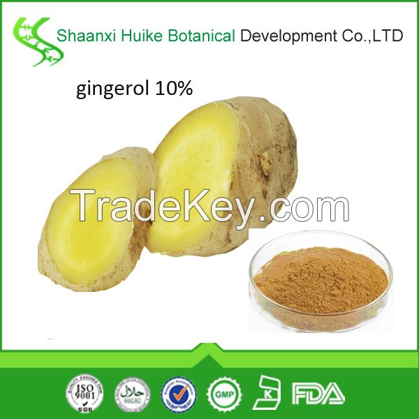 Hypoglycemic agent ginger Root Extract in bulk