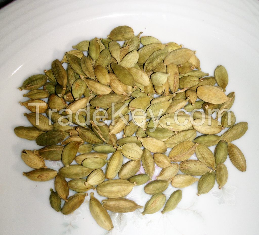 Organic Cardamom 