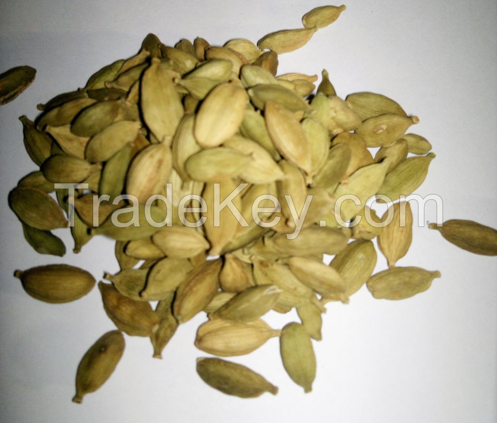 Organic Cardamom