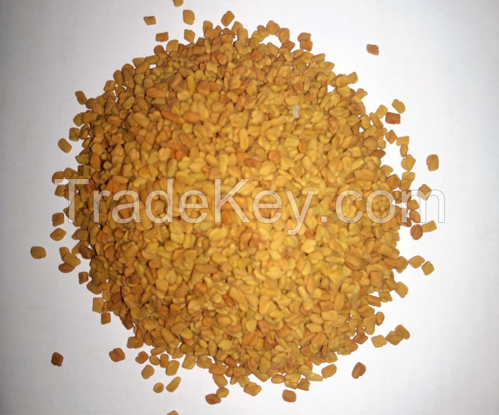 Fenugreek Seeds