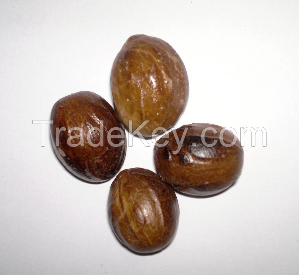 Organic Nutmeg - Without Shell