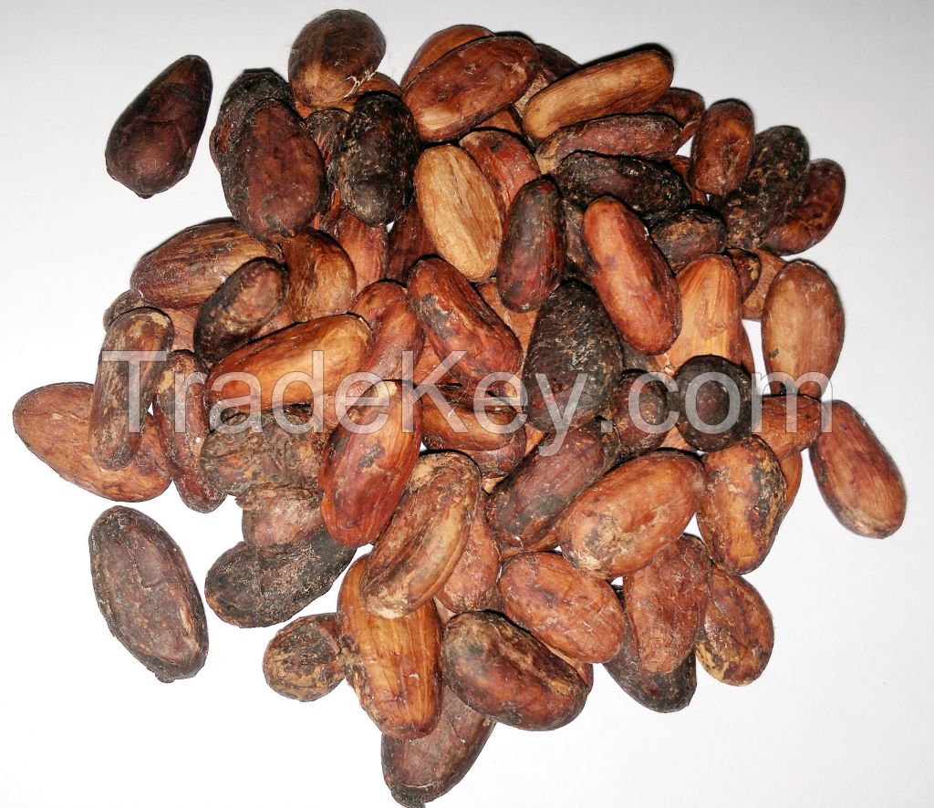 Organic Cocoa / Cacao Beans