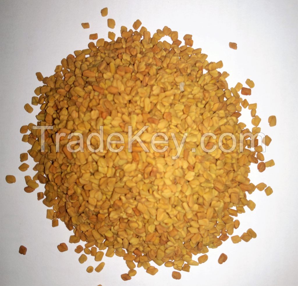 Fenugreek Seeds