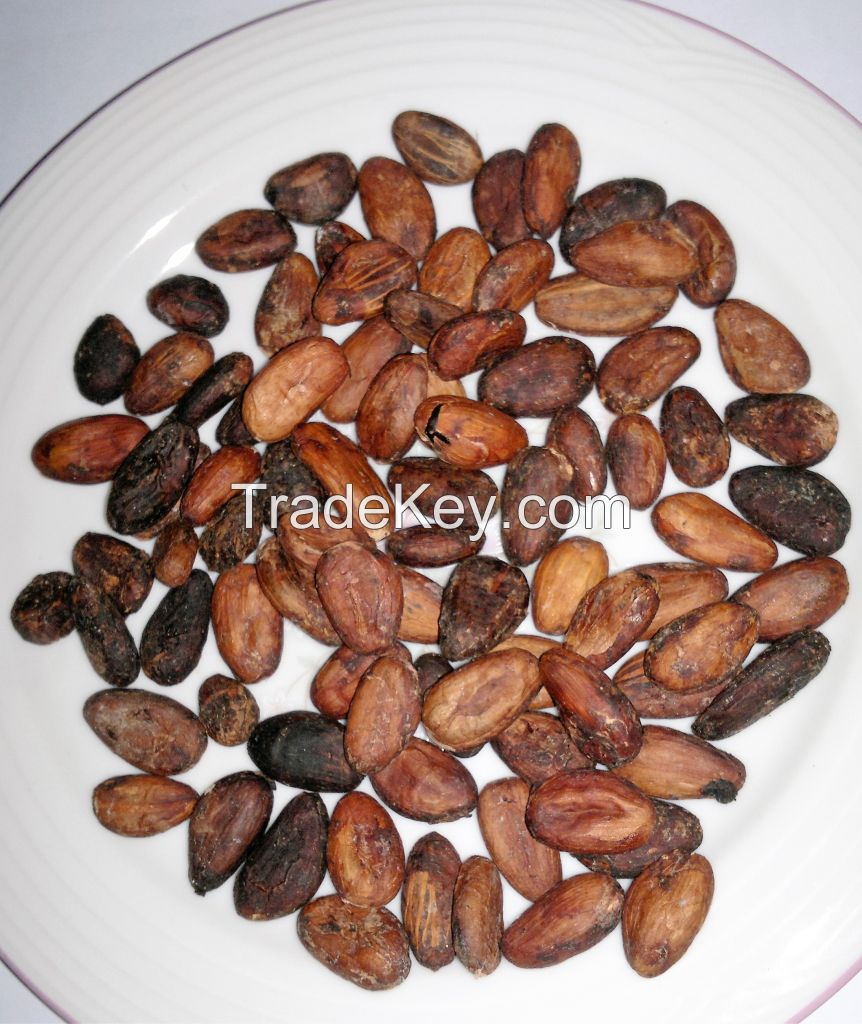 Organic Cocoa / Cacao Beans