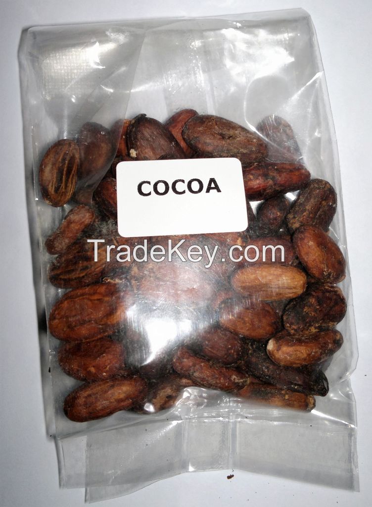 Organic Cocoa / Cacao Beans