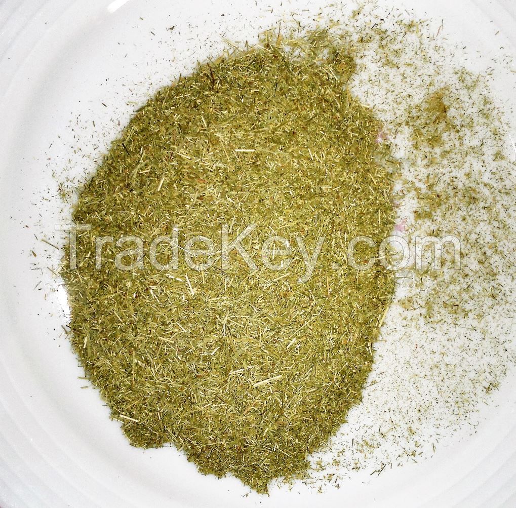 Organic Cymbopogon citratus Powder