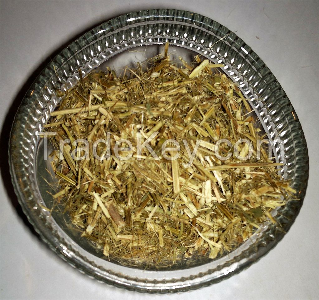 Organic Ocimum tenuiflorum Tea Bag Cut