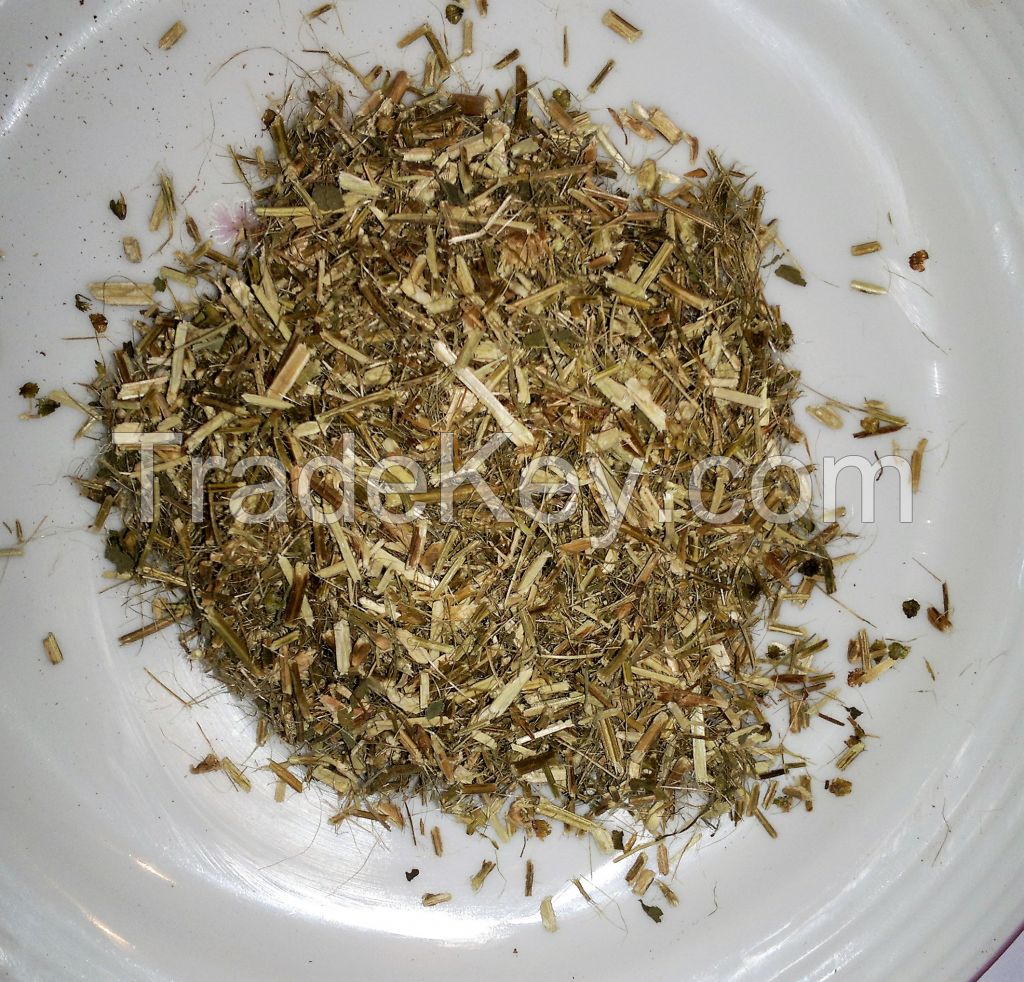 Organic Ocimum tenuiflorum Tea Bag Cut