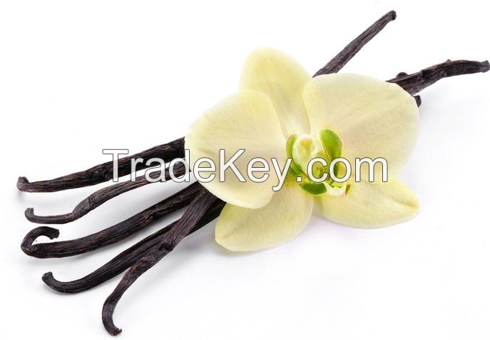 Organic Vanilla Beans