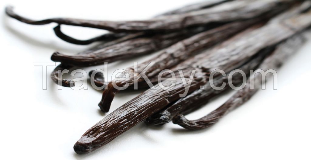 Organic Vanilla Beans