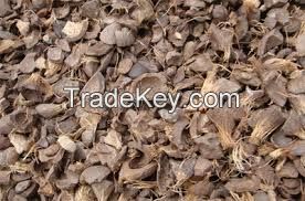 Palm Kernel Shell