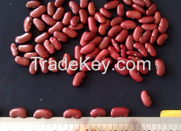 British Red Kidney Beans