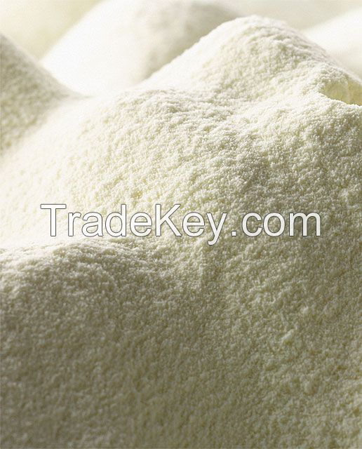 Milk Powder