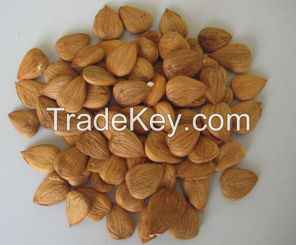 High quality sweet apricot kernels almond 600/650/700/750pcs/500g