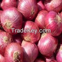 RED ONION