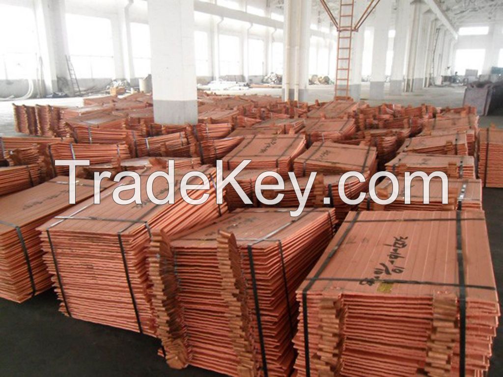 factory of Copper Cathode 99.99%