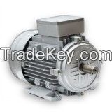IE2 series high efficiency induction motors
